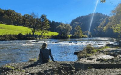 Waarom lijnen niet werkt.